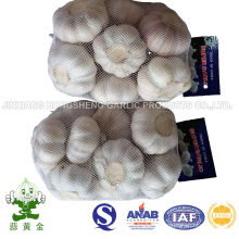 Taille normale de l&#39;ail blanc 5.0cm 500gram Petit emballage